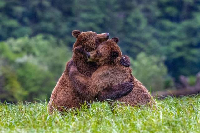 daily picdump 93 pics 30.html - 93 HD Photos | Premium Gallery 2018