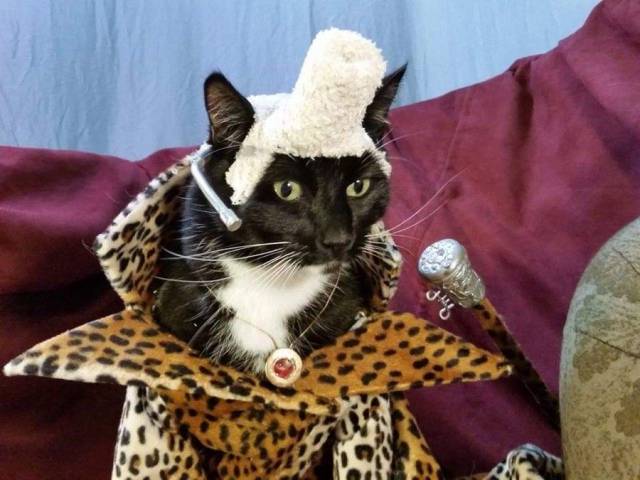 daily picdump 93 pics 30.html - 93 HD Photos | Premium Gallery 2018
