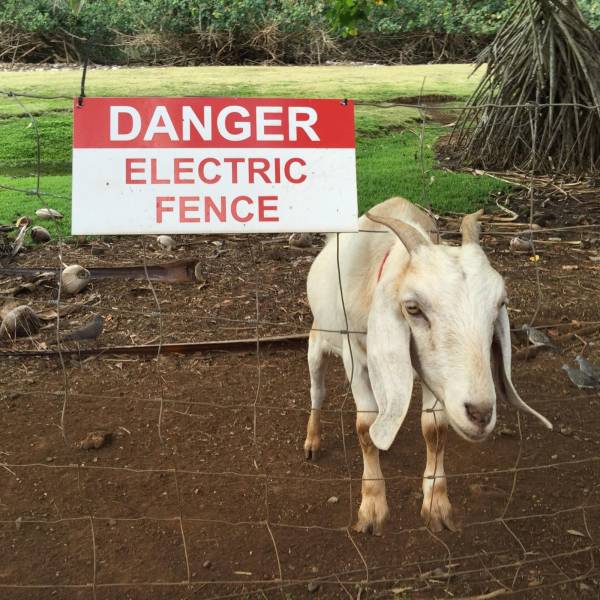 daily picdump 93 pics 30.html - 93 HD Photos | Premium Gallery 2018
