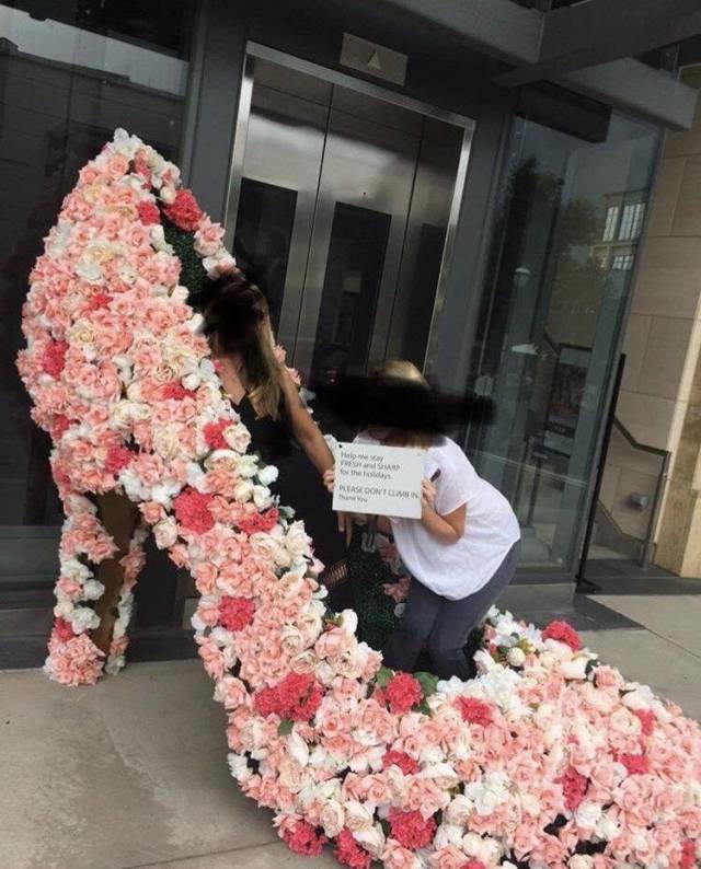 daily picdump 93 pics 30.html - 93 HD Photos | Premium Gallery 2018