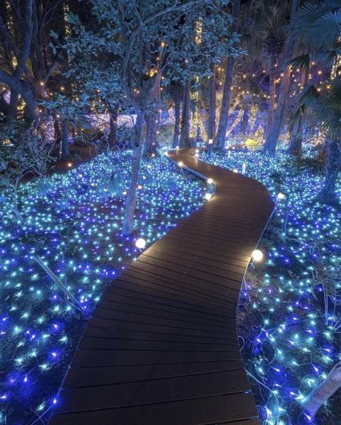 page,3,top 250 morning pics of the year 2018.html - 1 HD Photos | Premium Gallery 2018