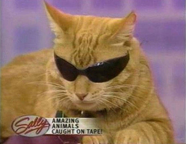 morning picdump 52 pics 19.html - 52 HD Photos | Premium Gallery 2018