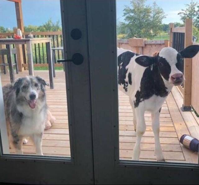 morning picdump 52 pics 19.html - 52 HD Photos | Premium Gallery 2018