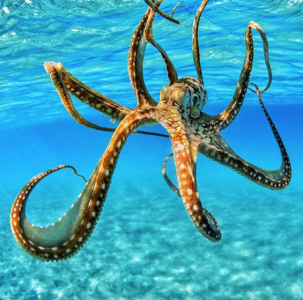 daily picdump 97 pics 6.html - 97 HD Photos | Premium Gallery 2018