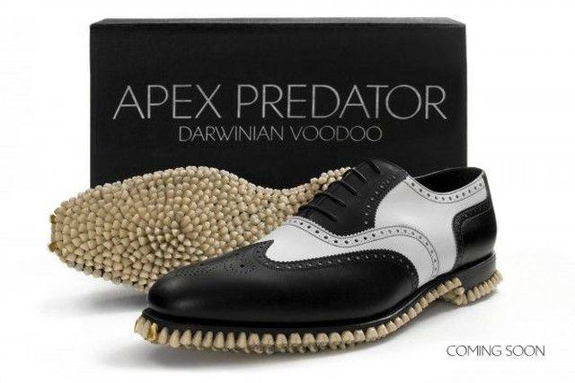 daily picdump 97 pics 6.html - 97 HD Photos | Premium Gallery 2018