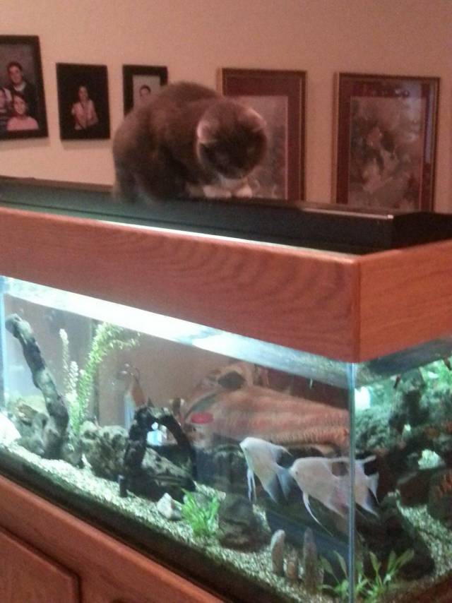 daily picdump 97 pics 6.html - 97 HD Photos | Premium Gallery 2018