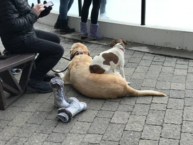 morning picdump 52 pics 13.html - 52 HD Photos | Premium Gallery 2018