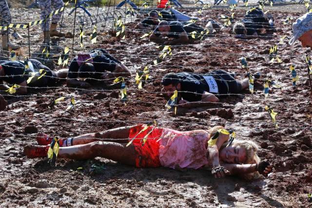 daily picdump 98 pics 42.html - 98 HD Photos | Premium Gallery 2018