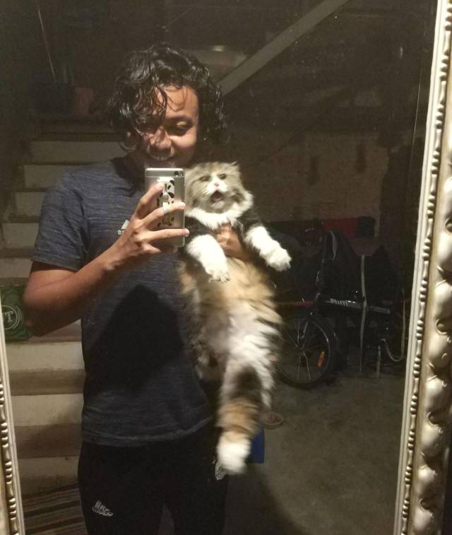 daily picdump 98 pics 42.html - 98 HD Photos | Premium Gallery 2018