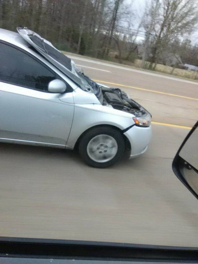 daily picdump 98 pics 42.html - 98 HD Photos | Premium Gallery 2018