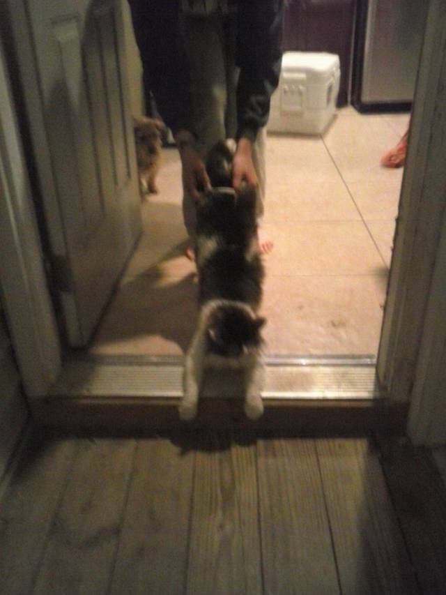 daily picdump 98 pics 42.html - 98 HD Photos | Premium Gallery 2018