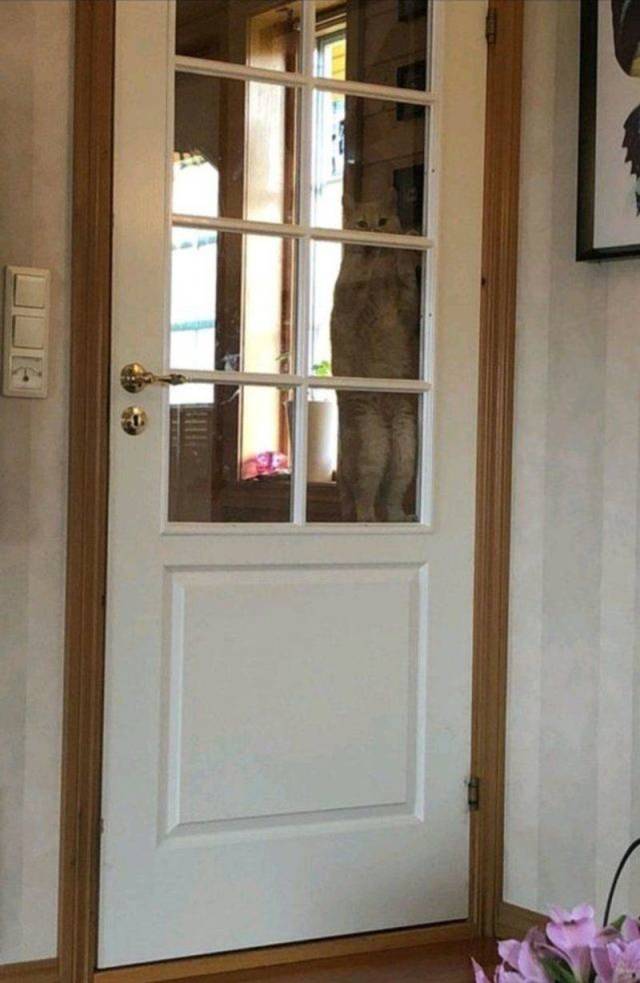 daily picdump 98 pics 42.html - 98 HD Photos | Premium Gallery 2018