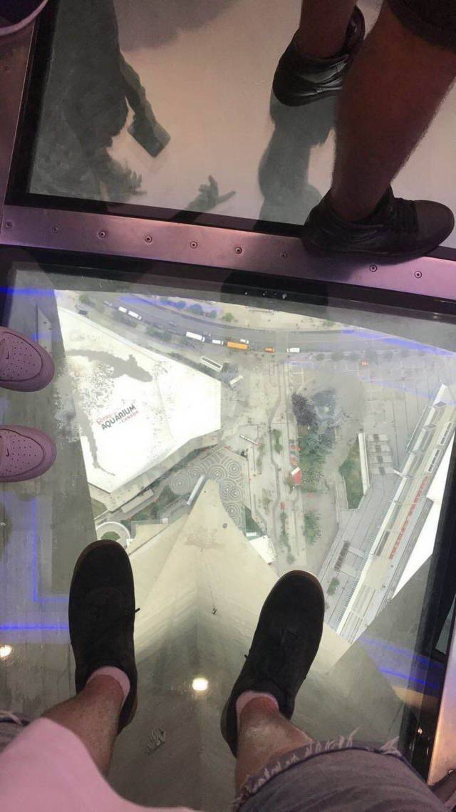 daily picdump 98 pics 42.html - 98 HD Photos | Premium Gallery 2018