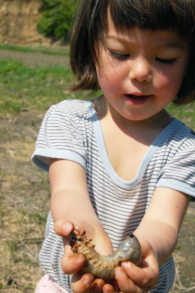 daily picdump 98 pics 42.html - 98 HD Photos | Premium Gallery 2018