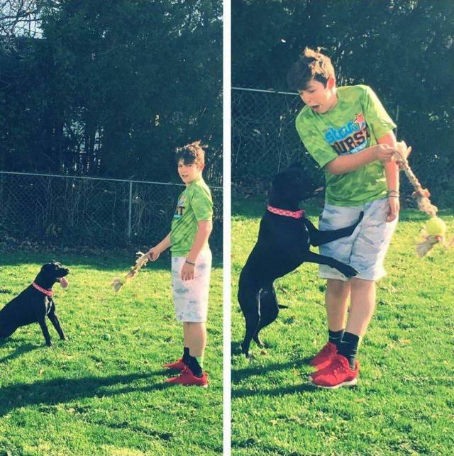 daily picdump 98 pics 42.html - 98 HD Photos | Premium Gallery 2018