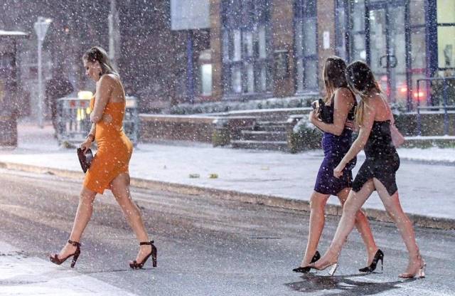 daily picdump 98 pics 3.html - 98 HD Photos | Premium Gallery 2018