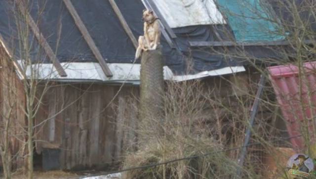 daily picdump 98 pics 3.html - 98 HD Photos | Premium Gallery 2018