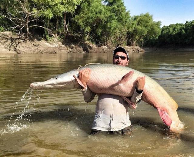 daily picdump 98 pics 3.html - 98 HD Photos | Premium Gallery 2018