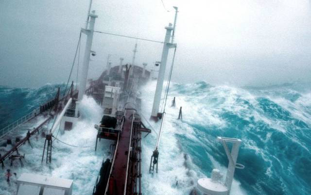 daily picdump 98 pics 3.html - 98 HD Photos | Premium Gallery 2018