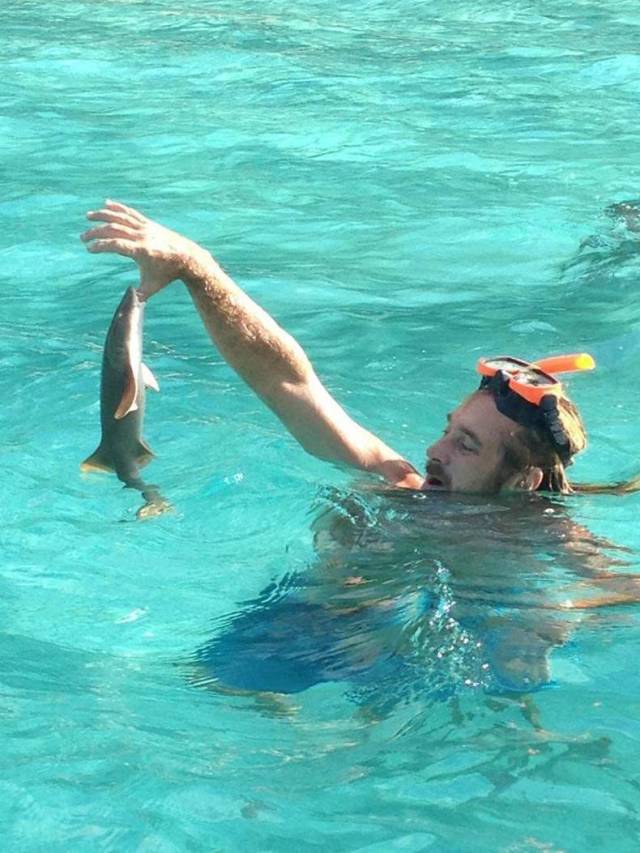 daily picdump 98 pics 3.html - 98 HD Photos | Premium Gallery 2018