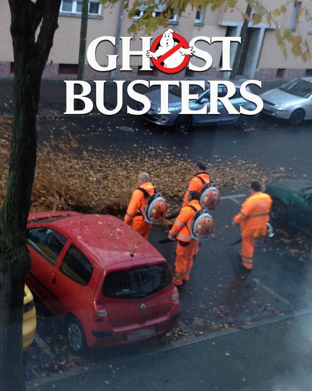 daily picdump 98 pics 3.html - 98 HD Photos | Premium Gallery 2018