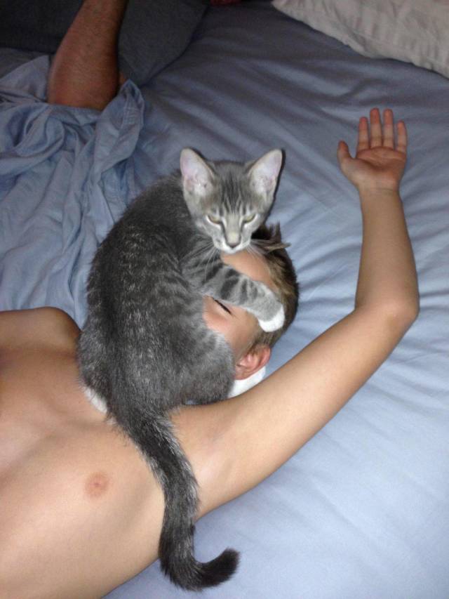 daily picdump 98 pics 3.html - 98 HD Photos | Premium Gallery 2018