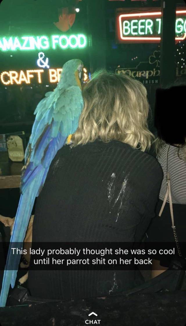 daily picdump 98 pics 3.html - 98 HD Photos | Premium Gallery 2018