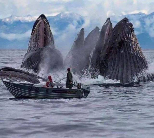 daily picdump 98 pics 41.html - 98 HD Photos | Premium Gallery 2018