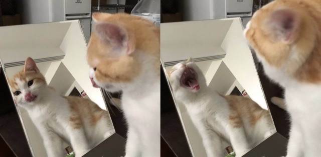 daily picdump 98 pics 41.html - 98 HD Photos | Premium Gallery 2018