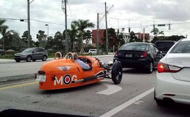 daily picdump 98 pics 41.html - 98 HD Photos | Premium Gallery 2018