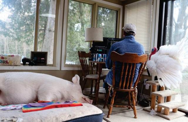 daily picdump 98 pics 41.html - 98 HD Photos | Premium Gallery 2018