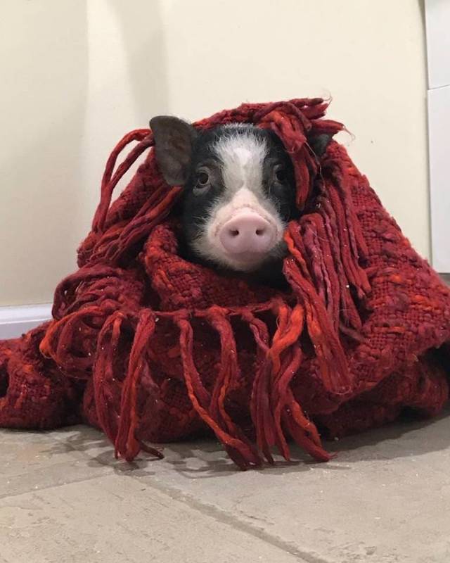 daily picdump 98 pics 41.html - 98 HD Photos | Premium Gallery 2018