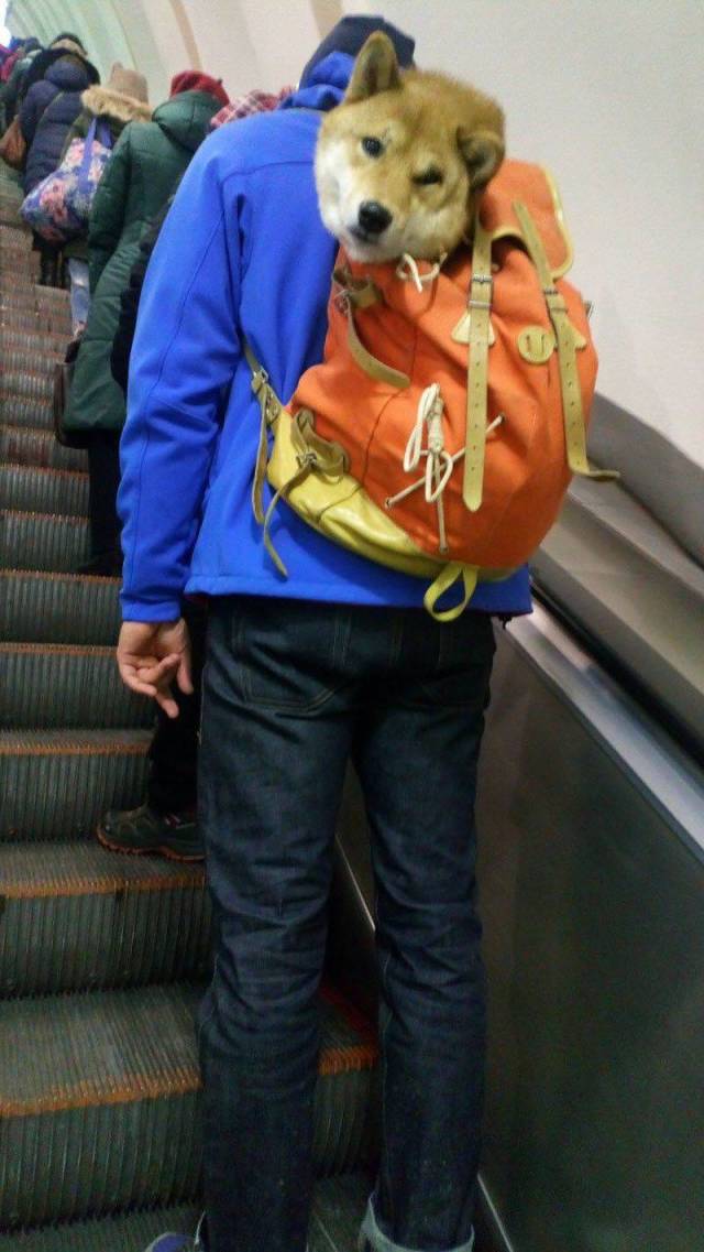 daily picdump 98 pics 41.html - 98 HD Photos | Premium Gallery 2018