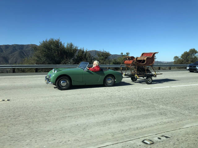 Morning Picdump