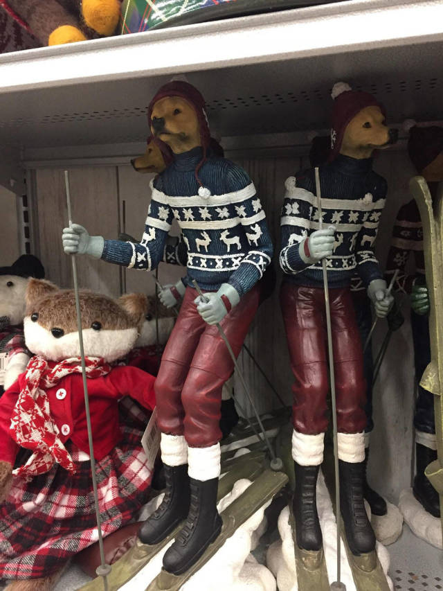 Morning Picdump