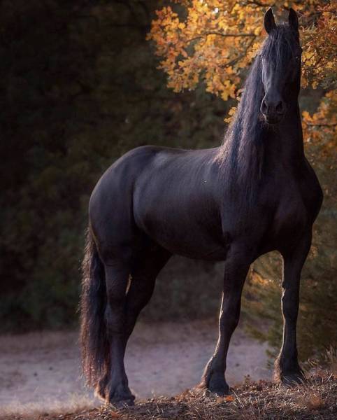 morning picdump 51 pics 3.html - 51 HD Photos | Premium Gallery 2018