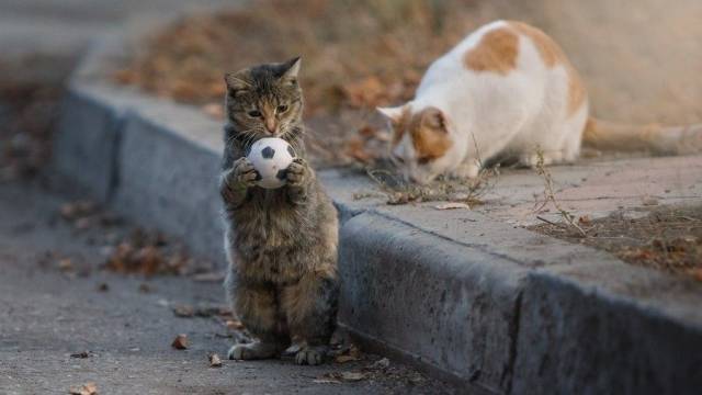 daily picdump 101 pics 37.html - 101 HD Photos | Premium Gallery 2018