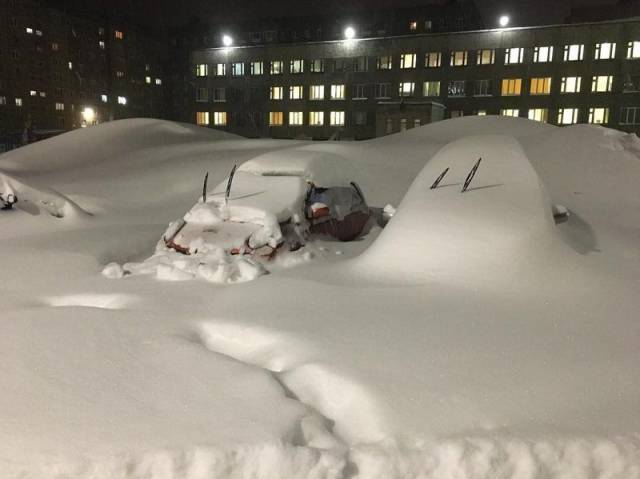 daily picdump 101 pics 37.html - 101 HD Photos | Premium Gallery 2018