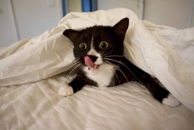 daily picdump 101 pics 37.html - 101 HD Photos | Premium Gallery 2018