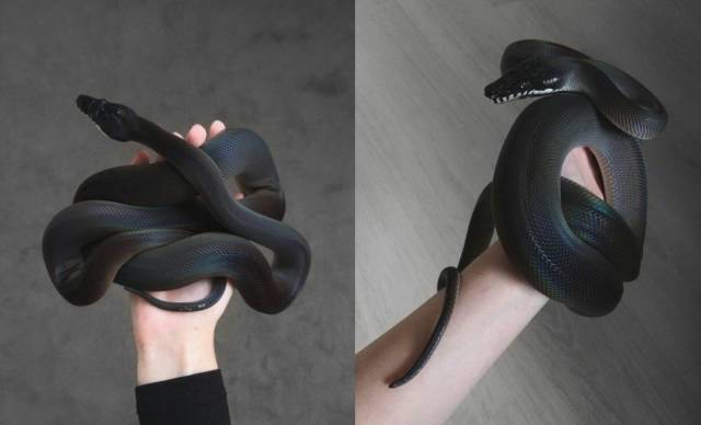 daily picdump 101 pics 37.html - 101 HD Photos | Premium Gallery 2018