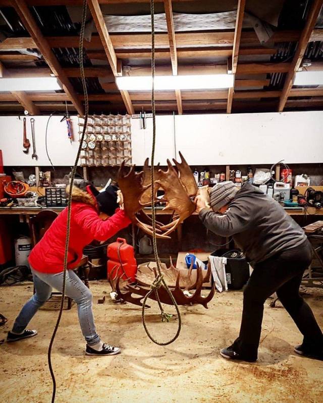 daily picdump 101 pics 37.html - 101 HD Photos | Premium Gallery 2018