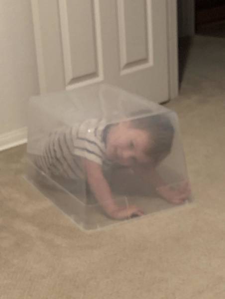 funny picdump 51 pics 18.html - 51 HD Photos | Premium Gallery 2018