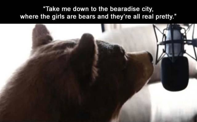 funny picdump 51 pics 18.html - 51 HD Photos | Premium Gallery 2018