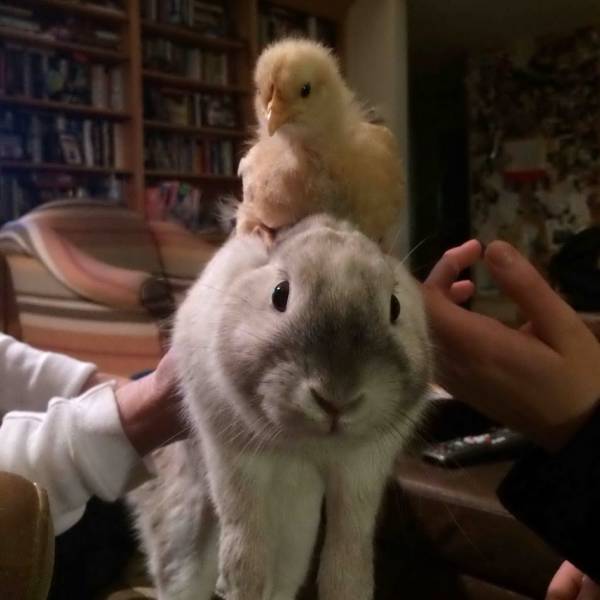 daily picdump 99 pics 30.html - 99 HD Photos | Premium Gallery 2018