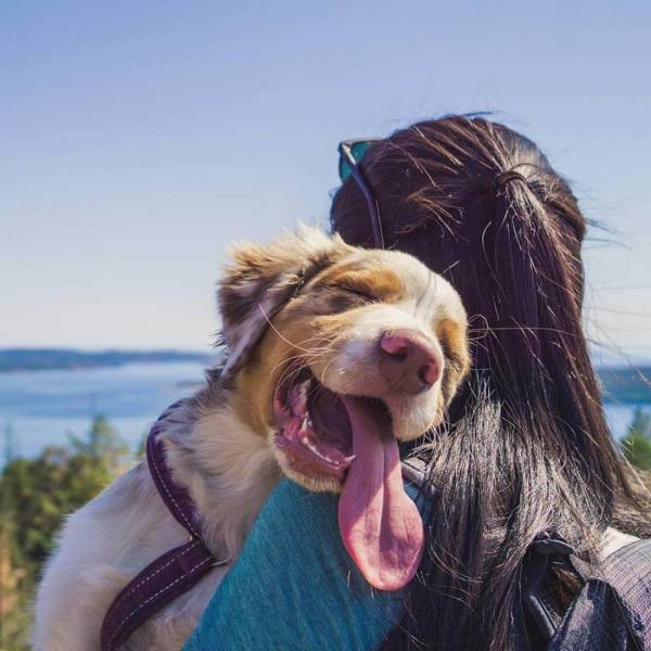 daily picdump 99 pics 30.html - 99 HD Photos | Premium Gallery 2018