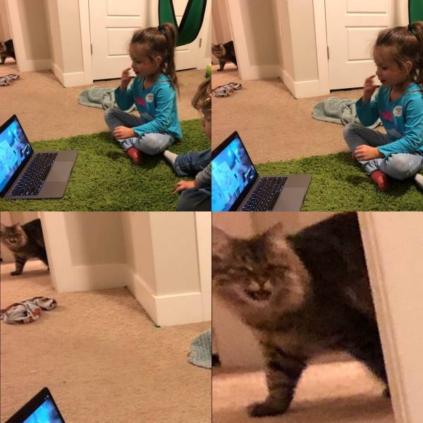 daily picdump 99 pics 30.html - 99 HD Photos | Premium Gallery 2018