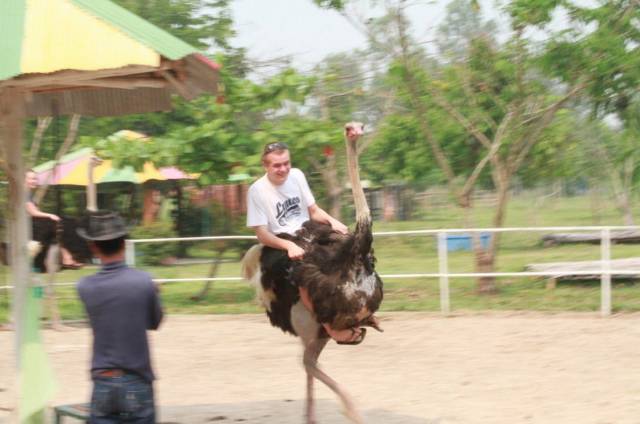 daily picdump 99 pics 30.html - 99 HD Photos | Premium Gallery 2018