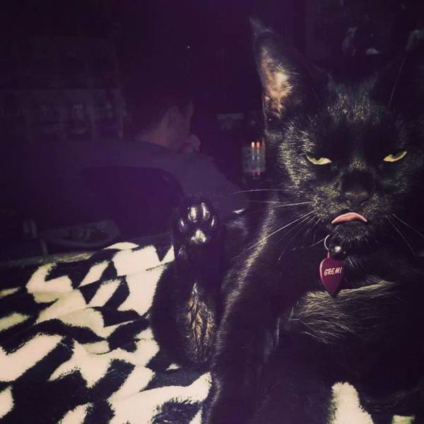 daily picdump 99 pics 30.html - 99 HD Photos | Premium Gallery 2018