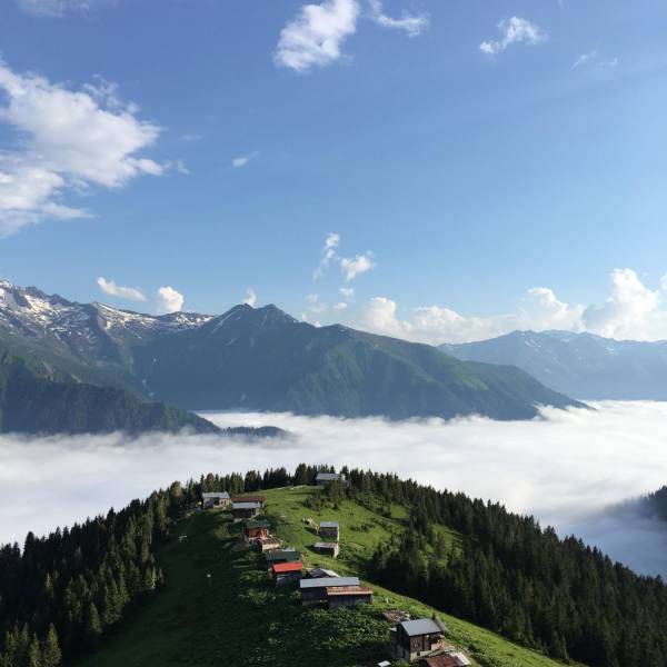 daily picdump 99 pics 30.html - 99 HD Photos | Premium Gallery 2018