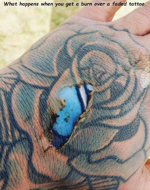 daily picdump 99 pics 30.html - 99 HD Photos | Premium Gallery 2018